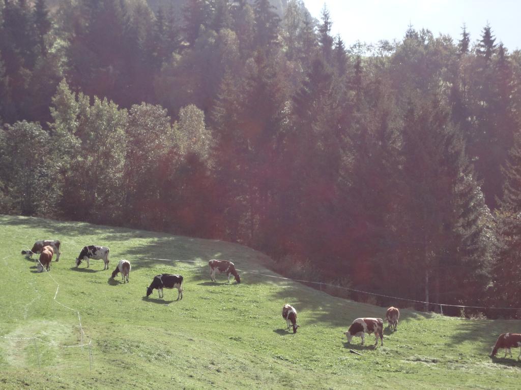 Apartament Gastehaus Biobauernhof Brennsteinhof Mittersill Zewnętrze zdjęcie